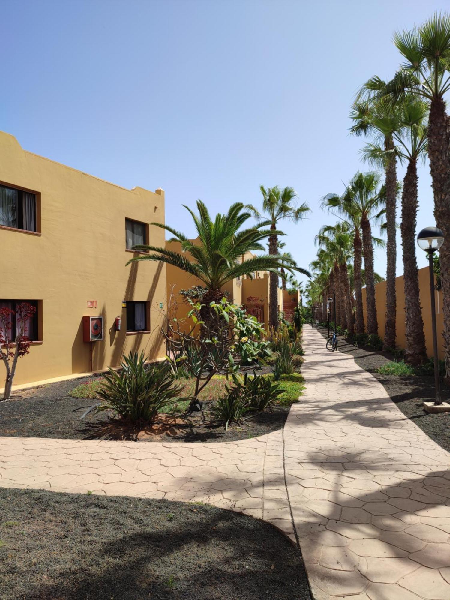 코라레호 Casa Papagayo 아파트 외부 사진